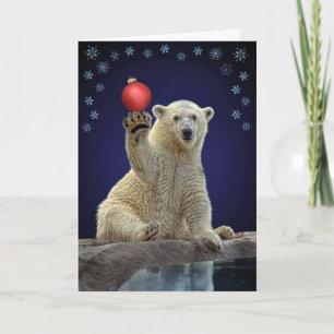 Polar Bear Cub Holiday