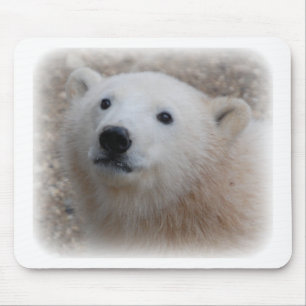 Polar Bear Cub Mouse Pad