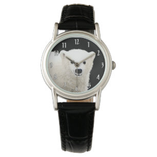 Polar Bear Cub Painting - Oiginal Wildlife Art Watch