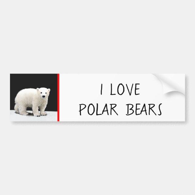 Polar Bear Cub Painting - Original Wildlife Art Bumper Sticker (Front)