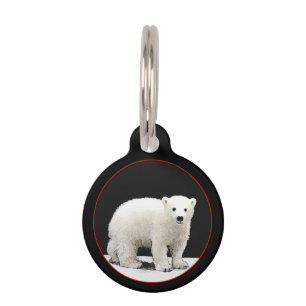 Polar Bear Cub Painting - Original Wildlife Art Pet Tag