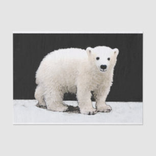 Polar Bear Cub Painting - Original Wildlife Art Tissue Paper