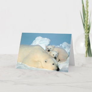 Polar Bear & Cubs by Steve Amstrup Card