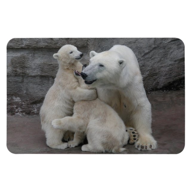 Polar Bear Cubs Magnet (Horizontal)