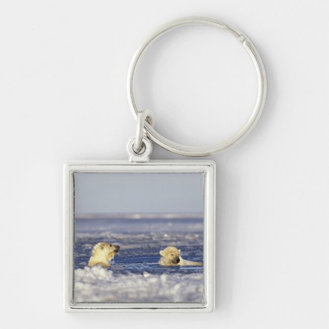 Polar bear cubs playing keychain (Front)