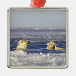 Polar bear cubs playing metal ornament