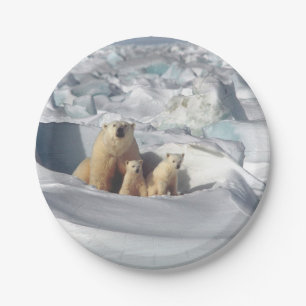 Polar Bear Cubs Snow Photo Paper Plate