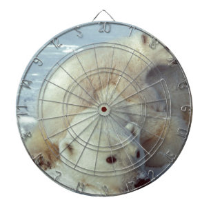 Polar Bear Dartboard