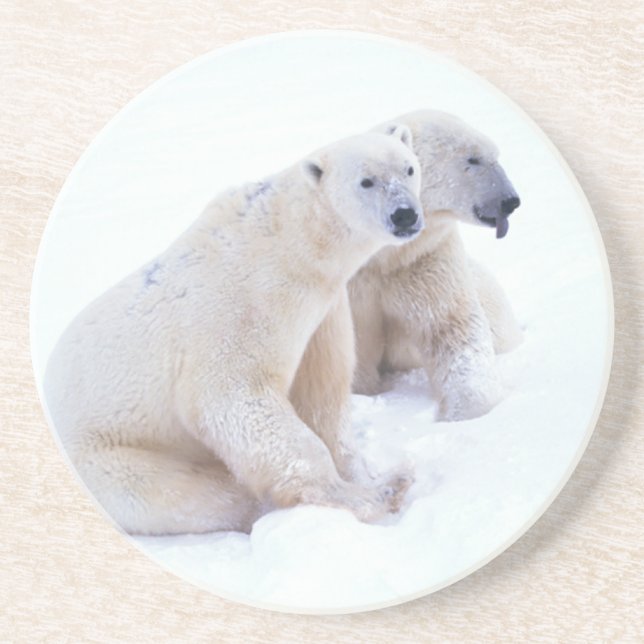 Polar Bear Duo Coaster (Front)