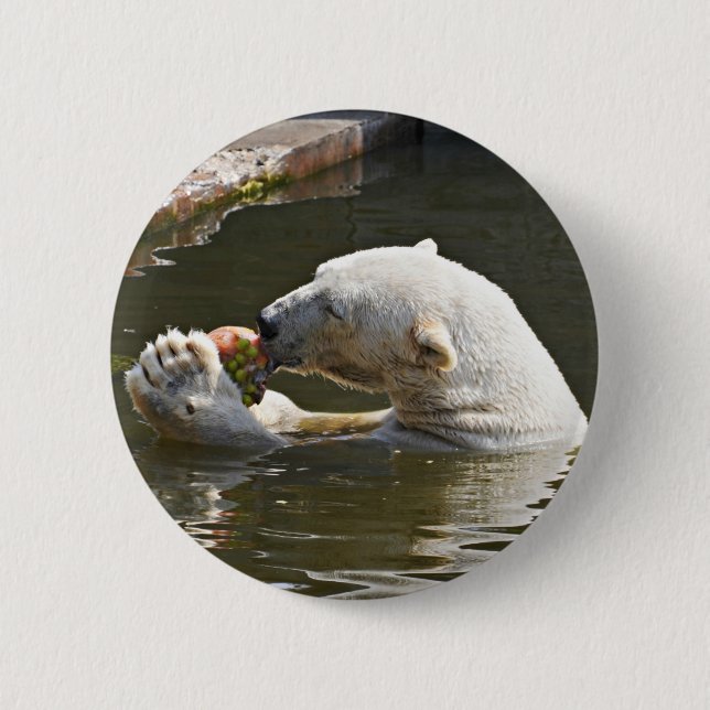 Polar Bear Eating Fruit Badge 2 Inch Round Button (Front)