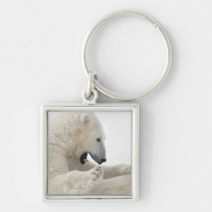 Polar bear engaging in a fight with another bear keychain