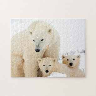 Polar Bear Family, Jigsaw Puzzle