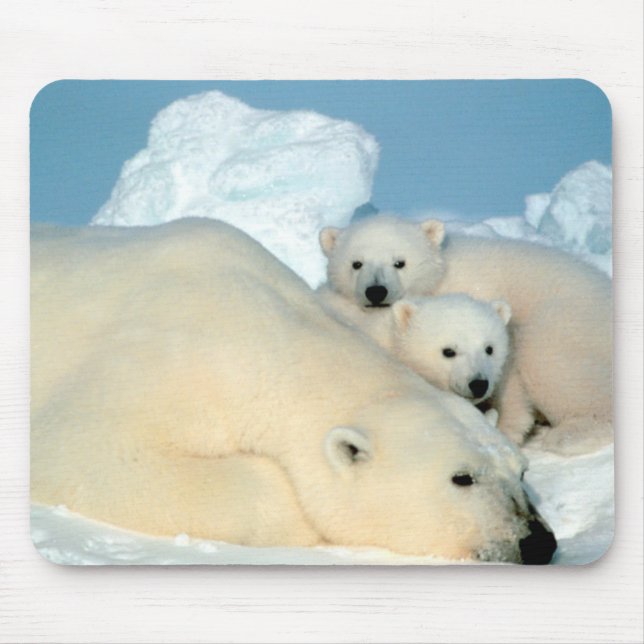 Polar Bear Family Mouse Pad (Front)