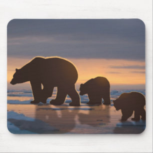 Polar Bear family Mouse Pad