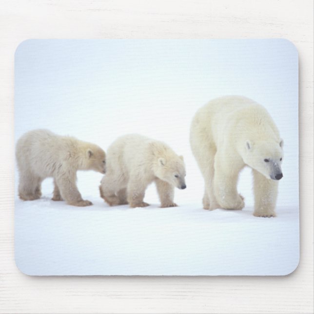 Polar Bear Family Mousepad (Front)