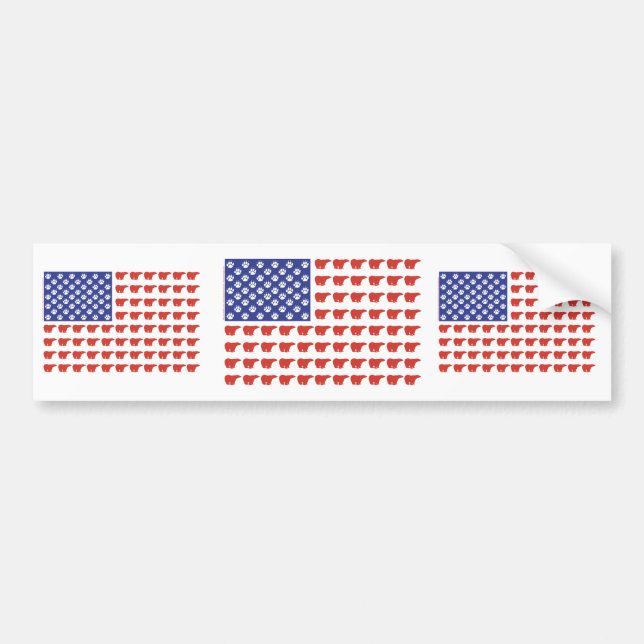Polar-Bear-Flag[1] Bumper Sticker (Front)