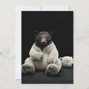 Polar Bear Gifts   Polar Bear Lovers 