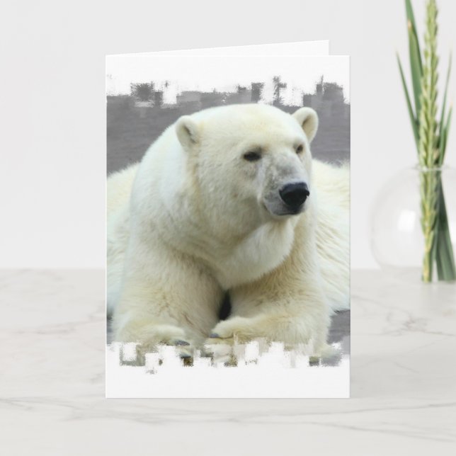Polar Bear Greeting Card (Front)