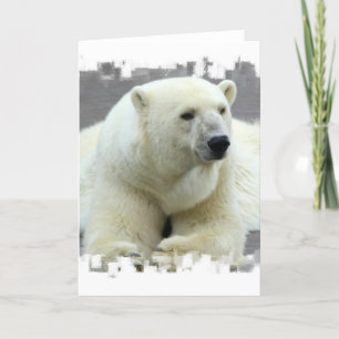 Polar Bear Greeting Card