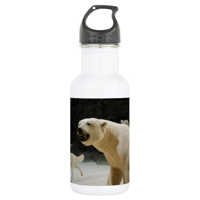 Polar Bear Grin 532 Ml Water Bottle (Front)