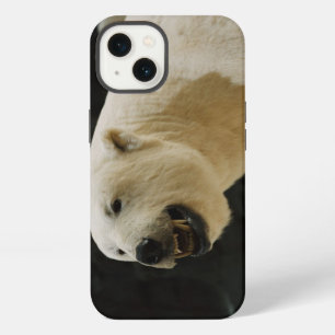 Polar Bear Grin iPhone 13 Case