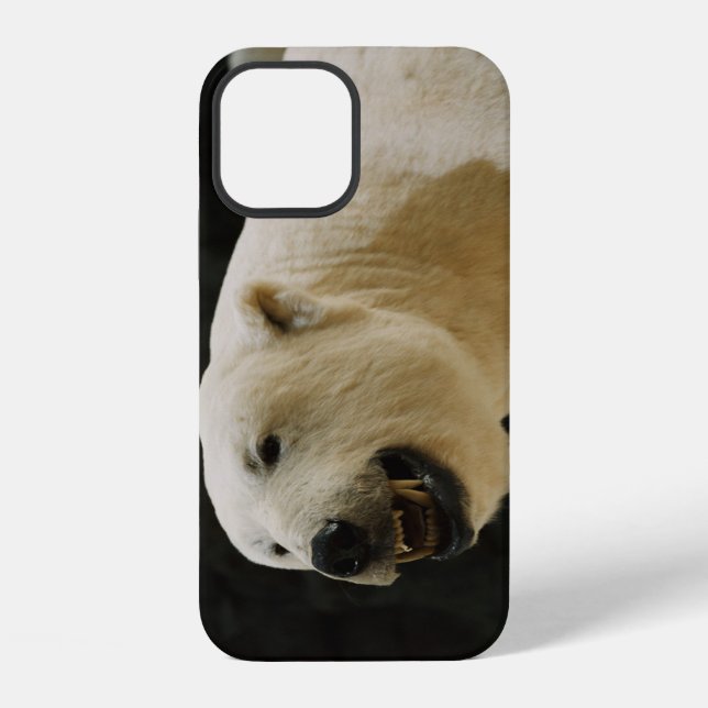 Polar Bear Grin iPhone Case (Back)