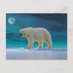 Polar Bear in Moonlight Postcard