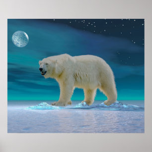 Polar Bear in Moonlight Poster