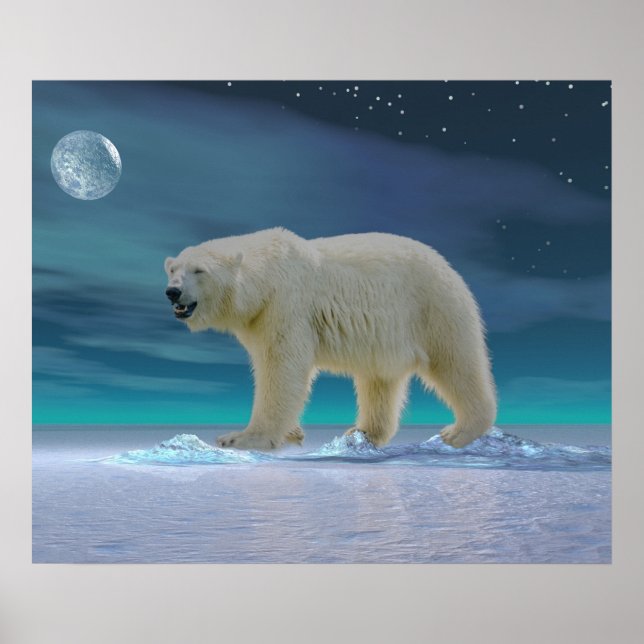 Polar Bear in Moonlight Poster (Front)