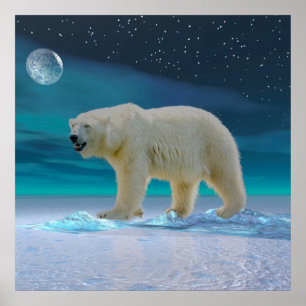 Polar Bear in Moonlight Poster