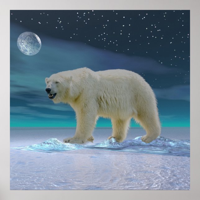 Polar Bear in Moonlight Poster (Front)