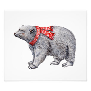 Polar Bear in Red Scarf Photo Print