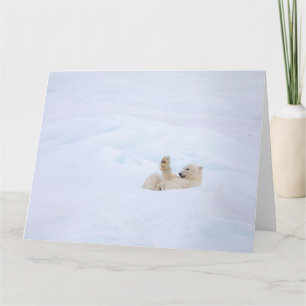 Polar bear in snow card