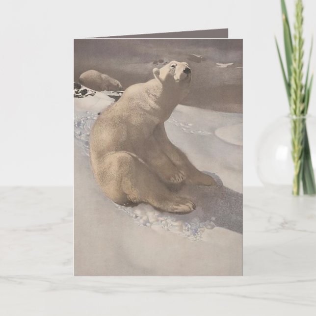 Polar bear in snow illustration grey brown white card (Front)