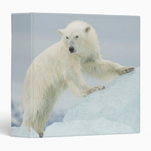 Polar bear in summer binder