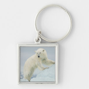 Polar bear in summer keychain