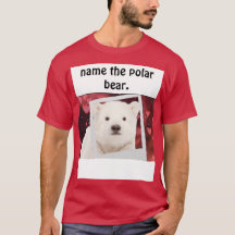 Polar bear in the picture