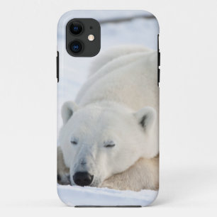 Polar Bear in winter iPhone 11 Case