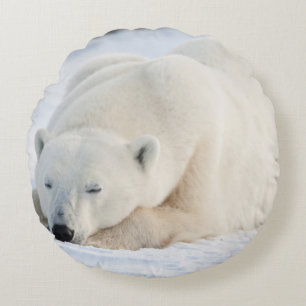 Polar Bear in winter Round Pillow