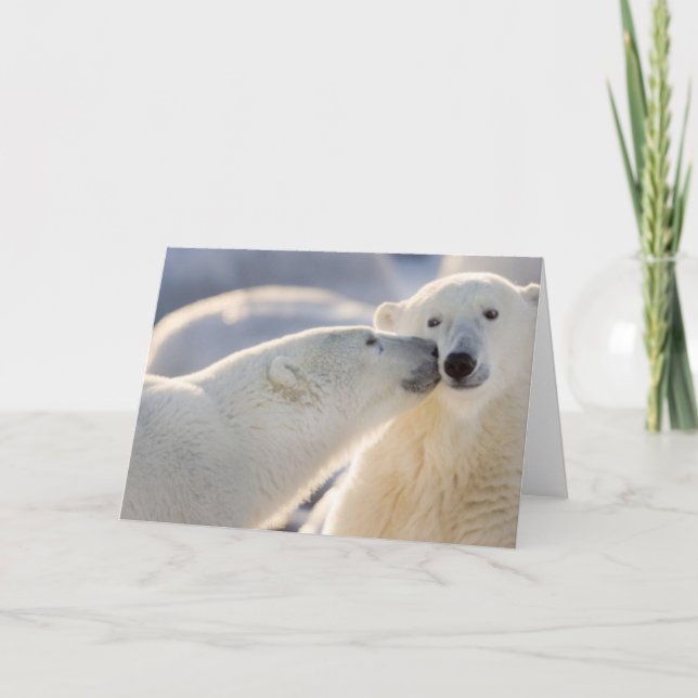Polar Bear Kiss Card (Front)
