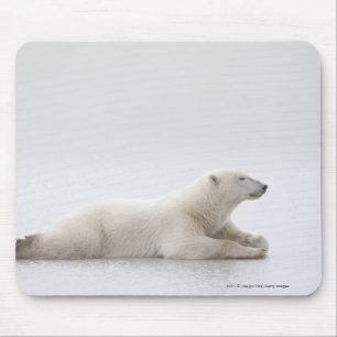 Polar Bear Laying On A Lake Of Ice Mouse Pad