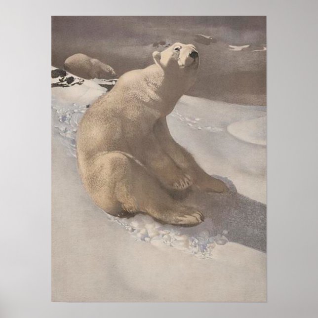 Polar bear lounging in snow vintage illustration poster (Front)