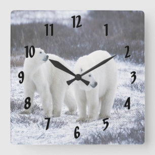 Polar Bear Love Square Wall Clock