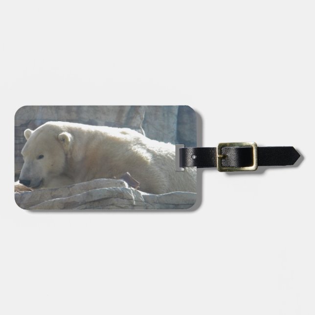 Polar Bear Luggage Tag (Front Horizontal)