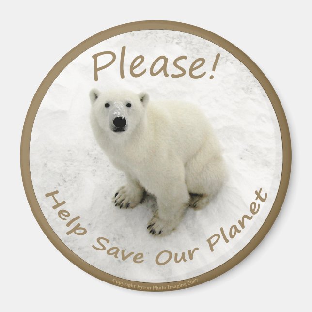 Polar Bear Magnet (Front)