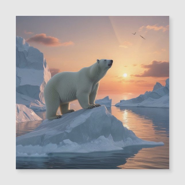  Polar Bear Magnetic Card (Front)