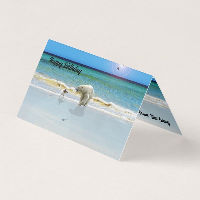Polar Bear Meets Jack Russell, Birthday Card Pack (Front)