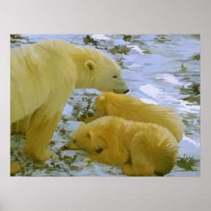 Polar Bear mom and her cubs paper print
