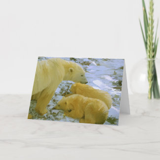 Polar Bear mom and her cubs stationery blank cards