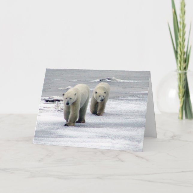 Polar Bear Mom & Cub Card (Front)